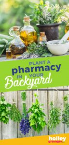Plant a Pharmacy in Your Backyard, from Holley Grainger
