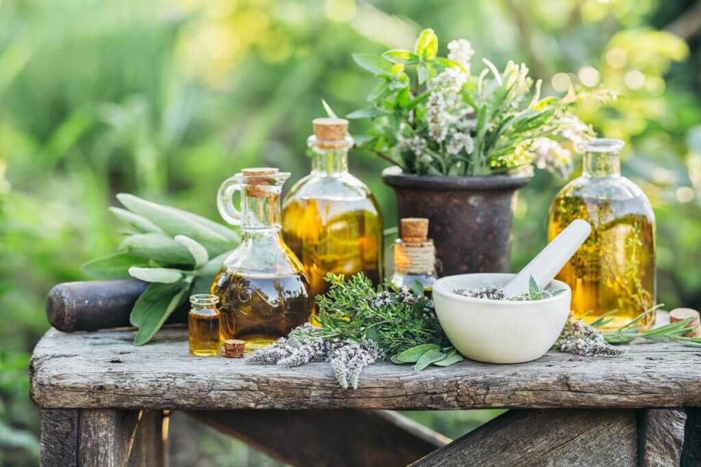 Plant a Pharmacy in Your Backyard, Medicinal table with herbs and oils