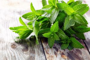 Plant a Pharmacy in Your Backyard, Peppermint