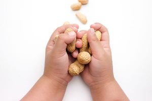 Image of child's hands holding peanuts